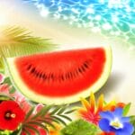 sommerliche wassermelonen frische